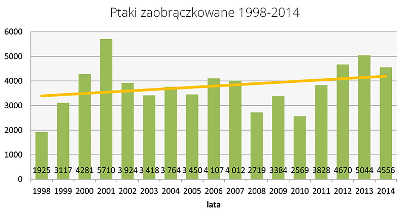 graf 1998-2014 zaobraczkowane
