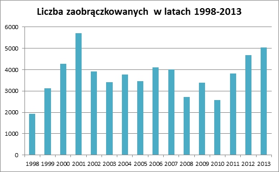 liczba zaobraczkowanych w latach 1998-2013