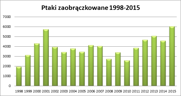 ptaki zaobraczkowane 1998-2015