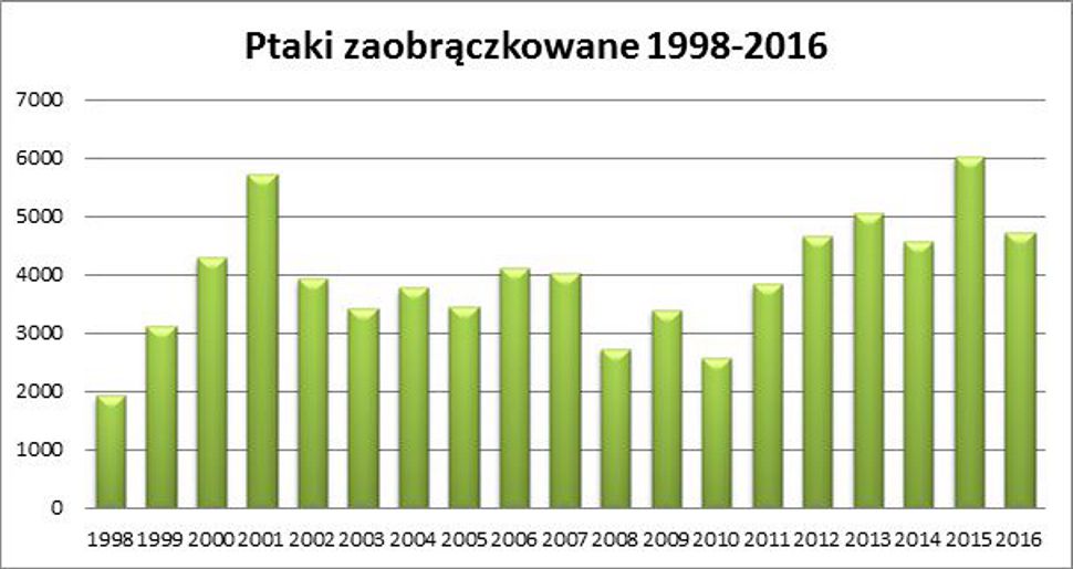 sprawozdanie-z-prac-terenowych-jesien-2016-stacja-myscowa ryc 1